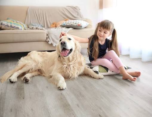 Best Flooring for Pets: What Actually Survives Dogs & Cats